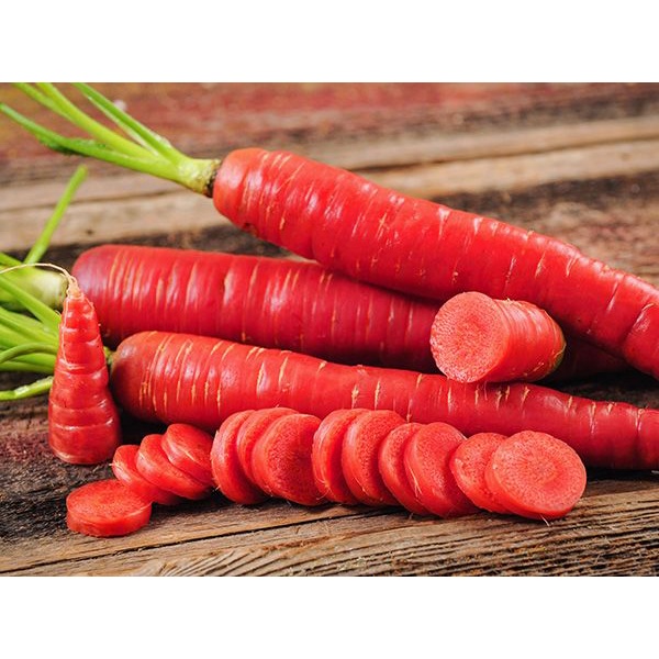 Benih Bibit Biji - Wortel Merah Carrot Atomic Red Seeds - IMPORT