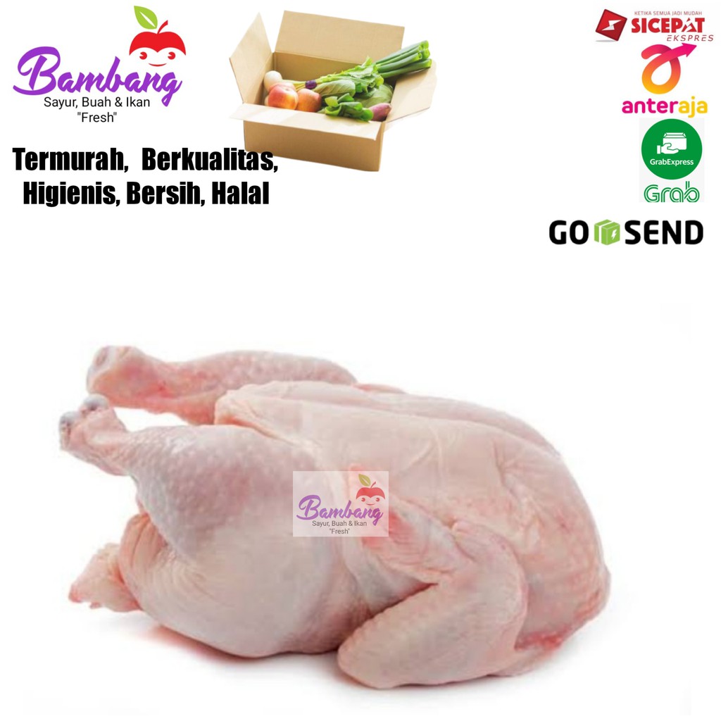 

ayam potong ayam fresh ayam seger ayam segar 800 - 1000 gram 1 kg