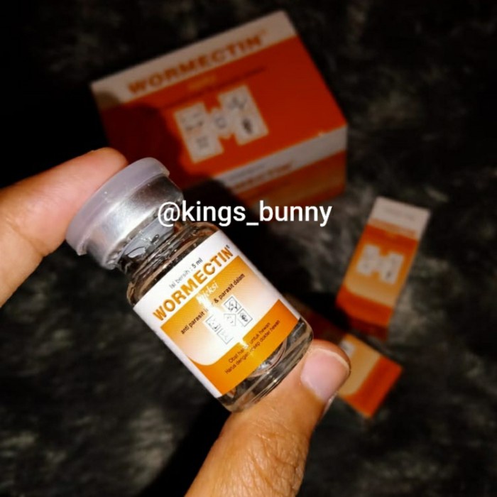 Kelinci-Perawatan- Obat Scabies Kelinci Wormectin Suntik -Perawatan-Kelinci.