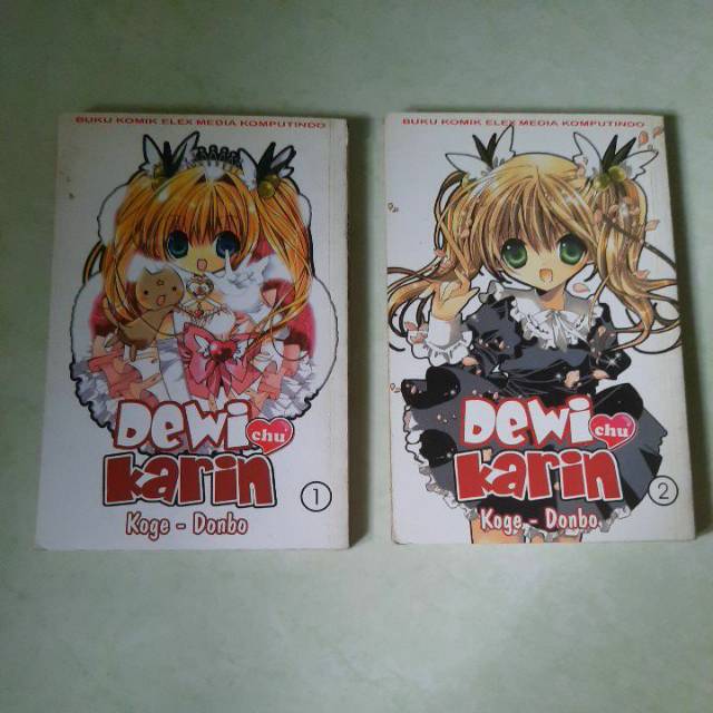 Komik Bekas Dewi Karin