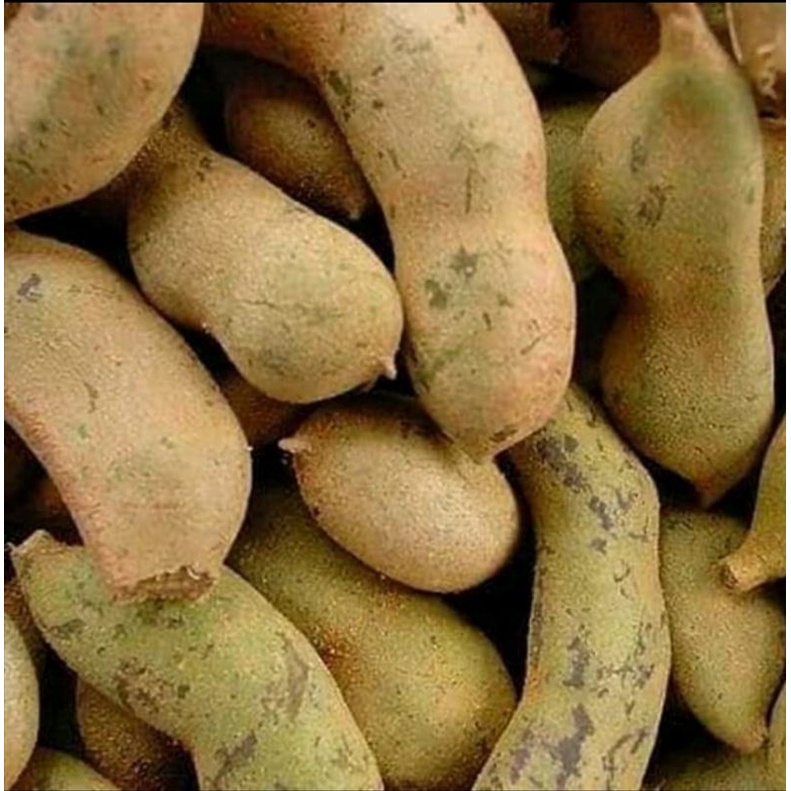 

1KG ASEM/ASEM JAWA CEMPALUK MENTAH KULIT SEGAR/BUMBU MASAK
