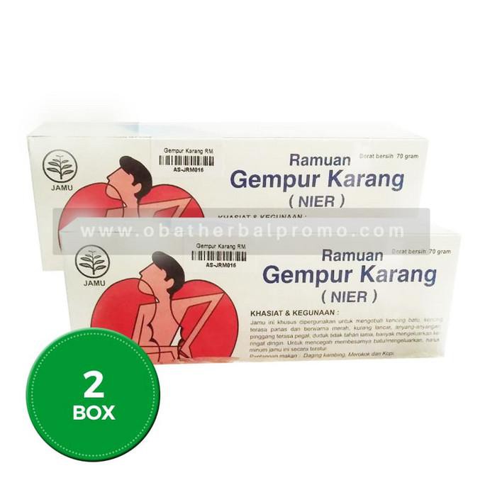 Buruan Beli] Akarsari Godogan Gempur Karang Obat Batu Ginjal Sakit Pinggang Alami