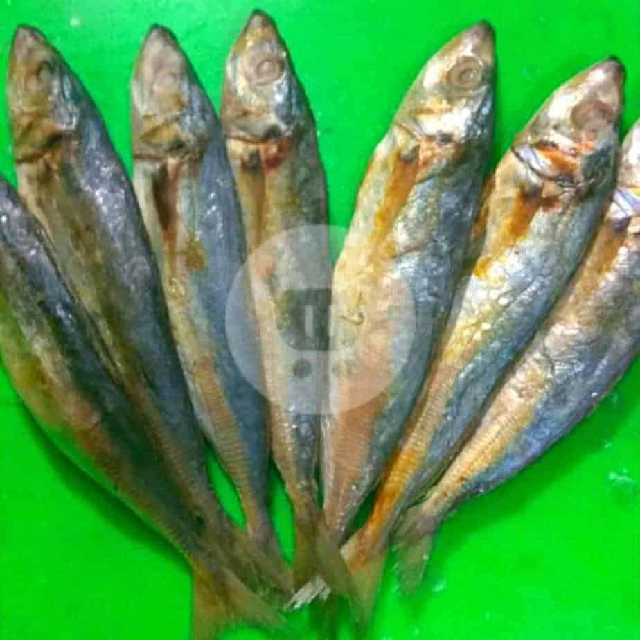 

Ikan Asin Japu 100 gr