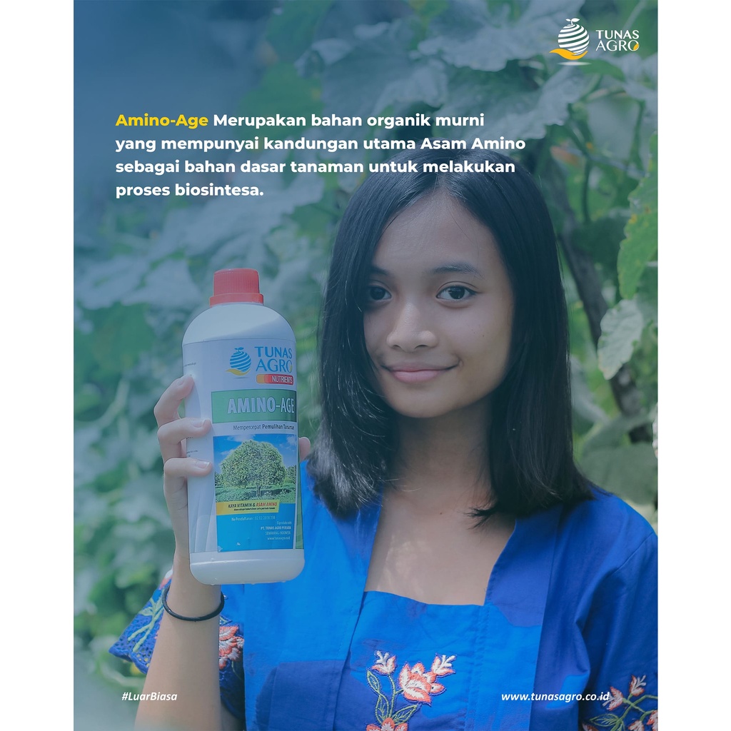 Pupuk Organik Cair Nutrisi AMINO-AGE - Mempercepat Pemulihan Tanaman - Kaya Asam Amino Murni &amp; Vitamin - TUNAS AGRO NUTRIENTS - 1 LITER / 1000 ML