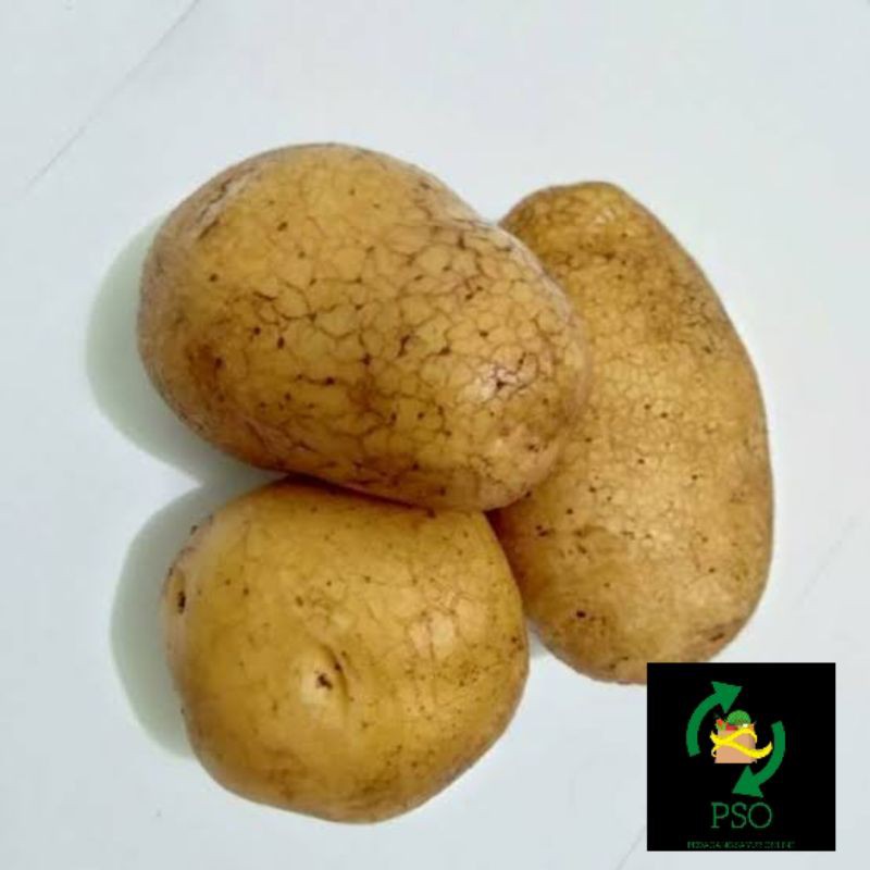 

KENTANG /500GR