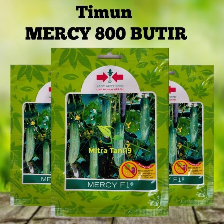 BIBIT BENIH TANAMAN SAYUR SAYURAN HIDROPONIK MENTIMUN TIMUN MERCY 800 BUTIR CAP PANAH MERAH MURAH