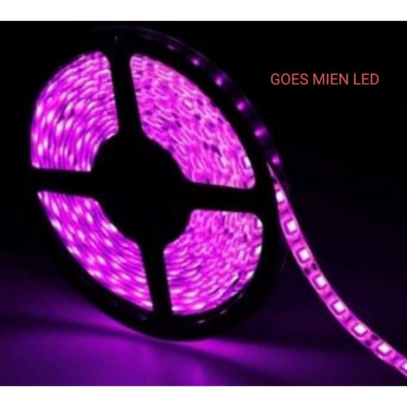 led strip 5050 12 volt pink 5 meter