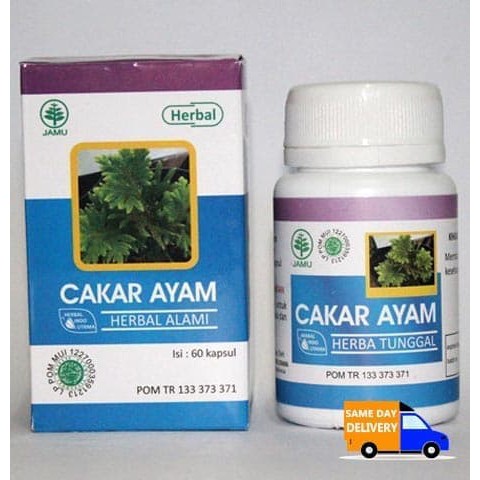 HIU Cakar Ayam Herbal Tunggal