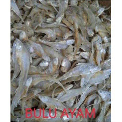 

Ikan Asin Bulu Ayam ( 1.000 Gr )