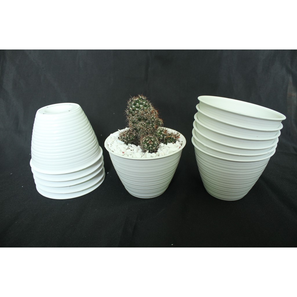 POT TAWON LUCU PLASTIK VAS BUNGA MINI WARNA PUTIH POT HIAS TANAMAN KAKTUS SUKULEN UKURAN DIAMETER 10