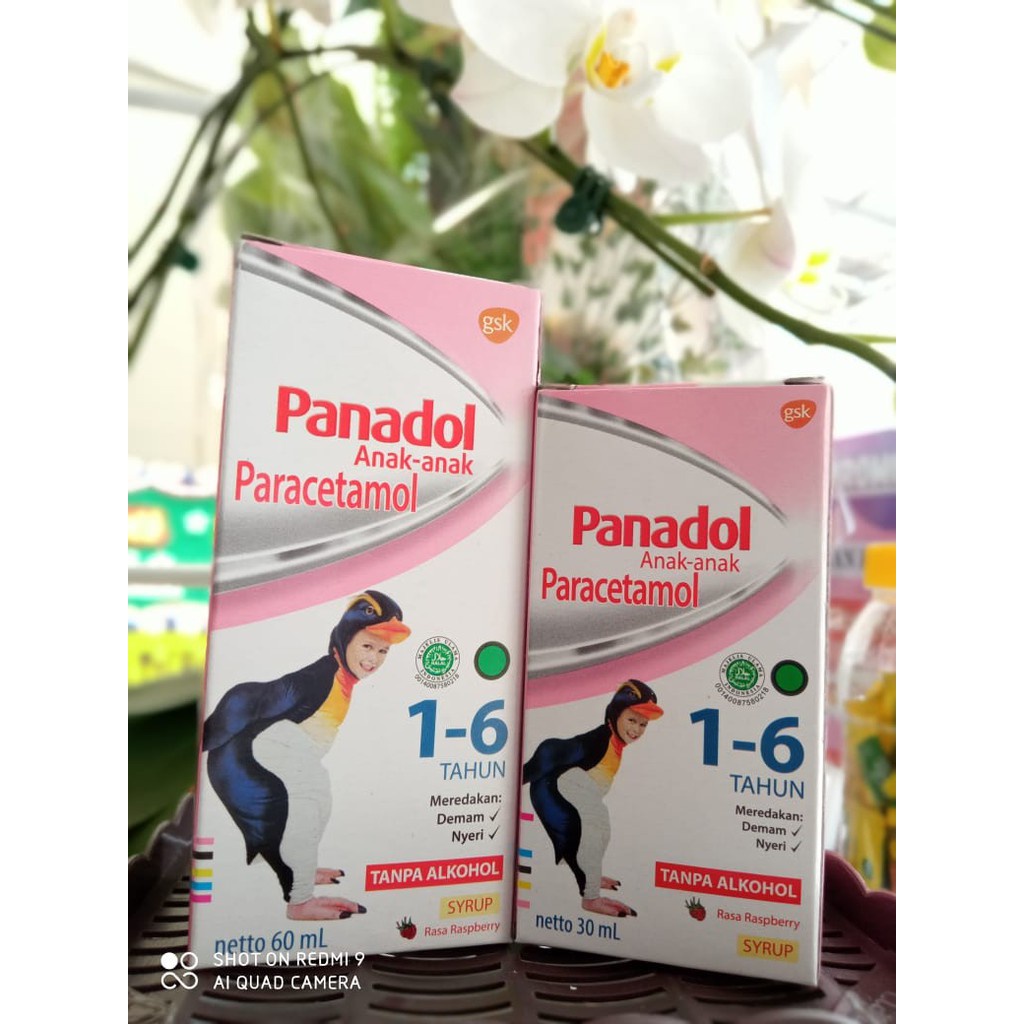 PANADOL SYRUP Anak 1 - 6 Tahun 60 ML - Obat Demam Sakit Nyeri Bayi Sirup Paracetamol 160 MG Parasetamol