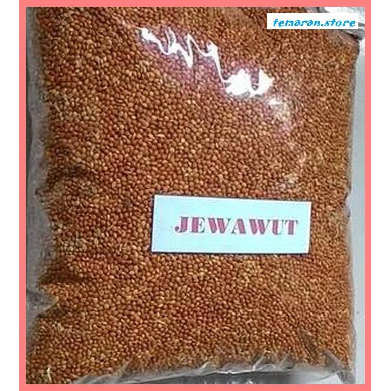 

Kopi- BIJI JAWAWUT / OTEK / JEWAWUT 1 KG -Biji-Kopi.