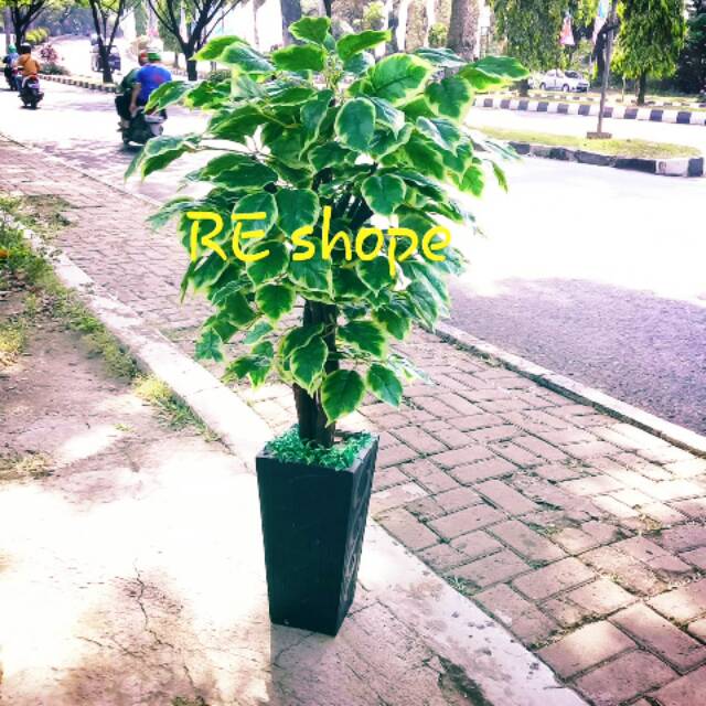 Bunga plastik/artificial/bunga hias/pohon plastik simfu hijau strip putih