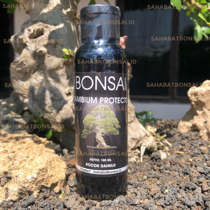 Salep kambium Bonsai 100ml salep kambium premium bonsai