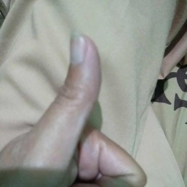 Bibit Tanaman Buah Jeruk Santang Madu