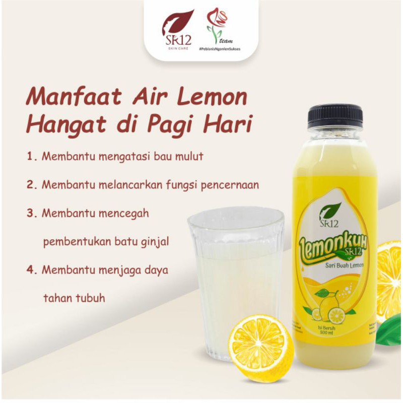 

Lemonkuh SR12