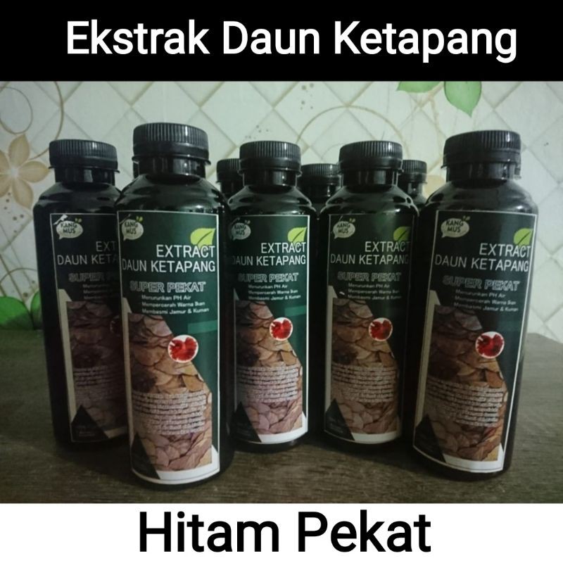 Ekstrak Daun Ketapang - Perawatan ikan - Tanpa Kimia