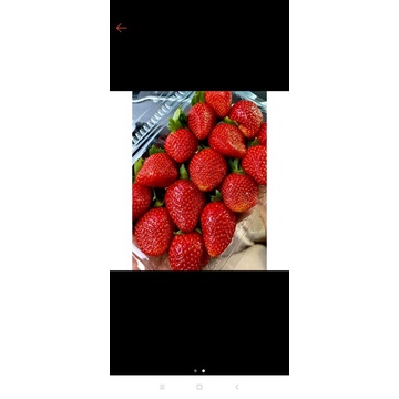 

stroberi mencir khas Ciwidey 250g