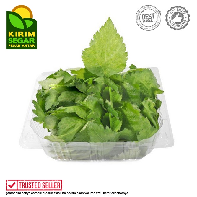 

Daun Mitsuba/San Ip San Ye Qin/Japanese Wild Parsley/Herbal/Pack