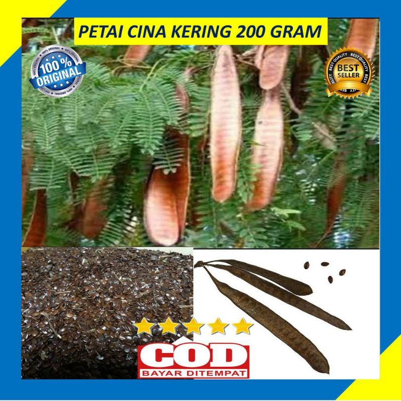 

Petai Cina Kering Biji Pete Mlandingan Pohon Lamtoro 200 Gram