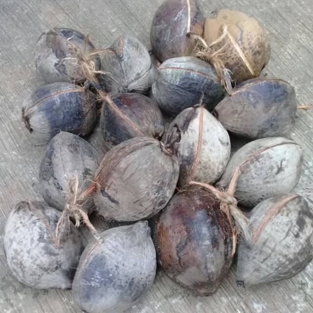 Promo Buah Kelapa Kering 1kg Shopee Indonesia