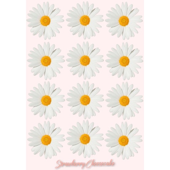 

Sticker bunga Daisy dan Pinnes DIY Dekorasi Poster Album