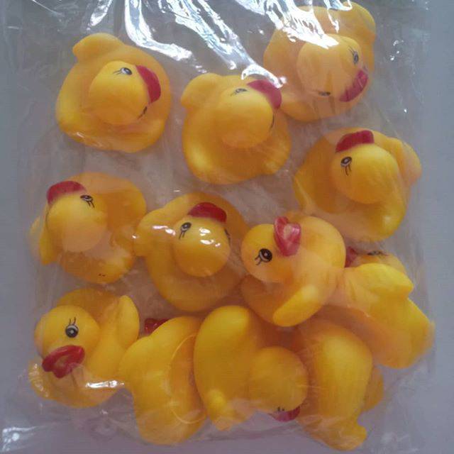 Bynil Bebek Kecil 12pcs Shopee Indonesia