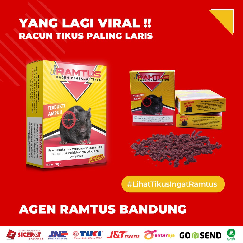 RAMTUS pembasmi koloni tikus