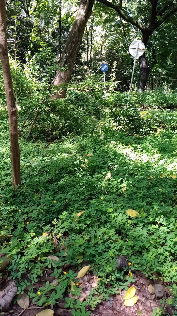 Handuk Matahari I Warna Random