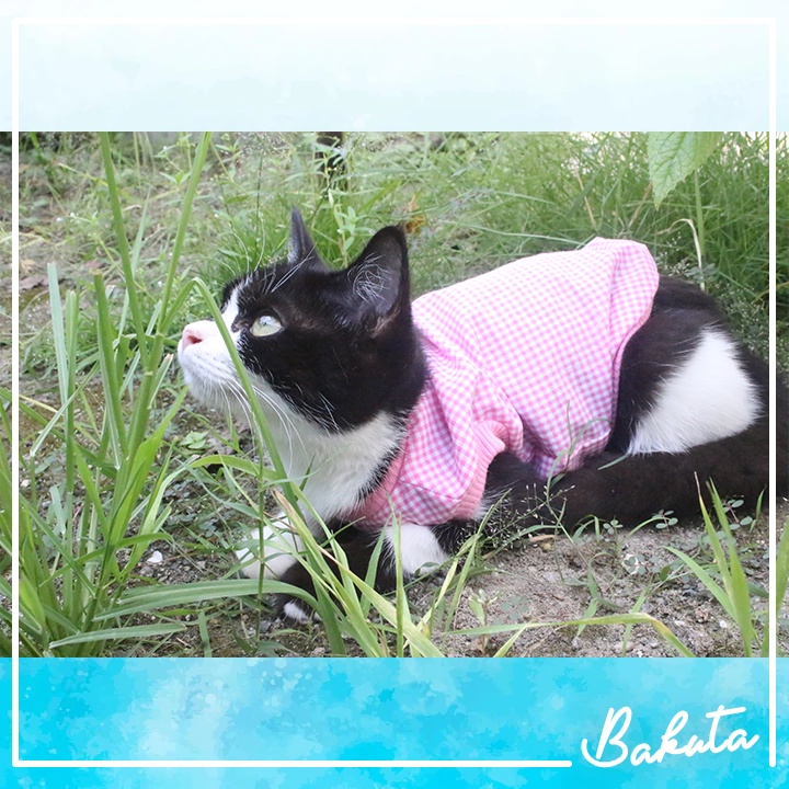 Baju Ucansee Kotak-kotak pink untuk kucing dan anjing / baju kucing lucu termurah size S-XL