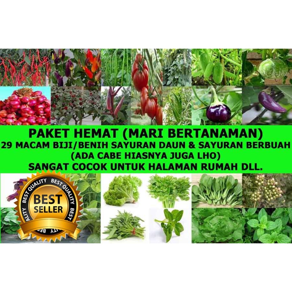 Bibit Tanaman Buah Barbados Cherry Ceri Shopee Indonesia