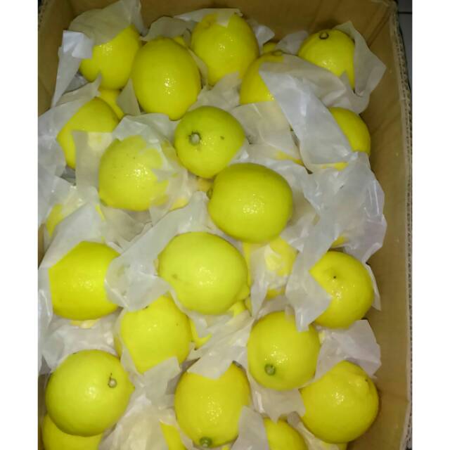 

Lemon import (sold out)