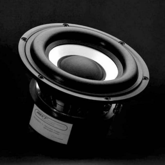 Subwoofer 6,5-inch, MST SW65