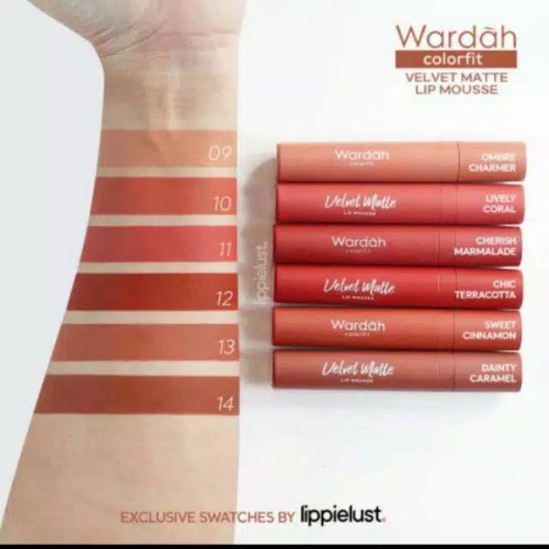 [NEW SHADES] WARDAH COLORFIT VELVET MATTE LIP MOUSSE NO 9,10,11,12,13,14