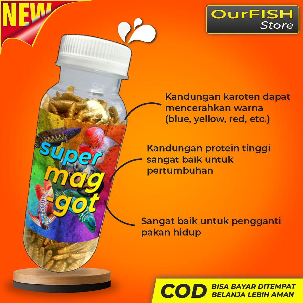 OURFISH - Maggot with Beta carotene Pakan Ikan Predator Channa Arwana Louhan Oscar Pbass Koi Belida