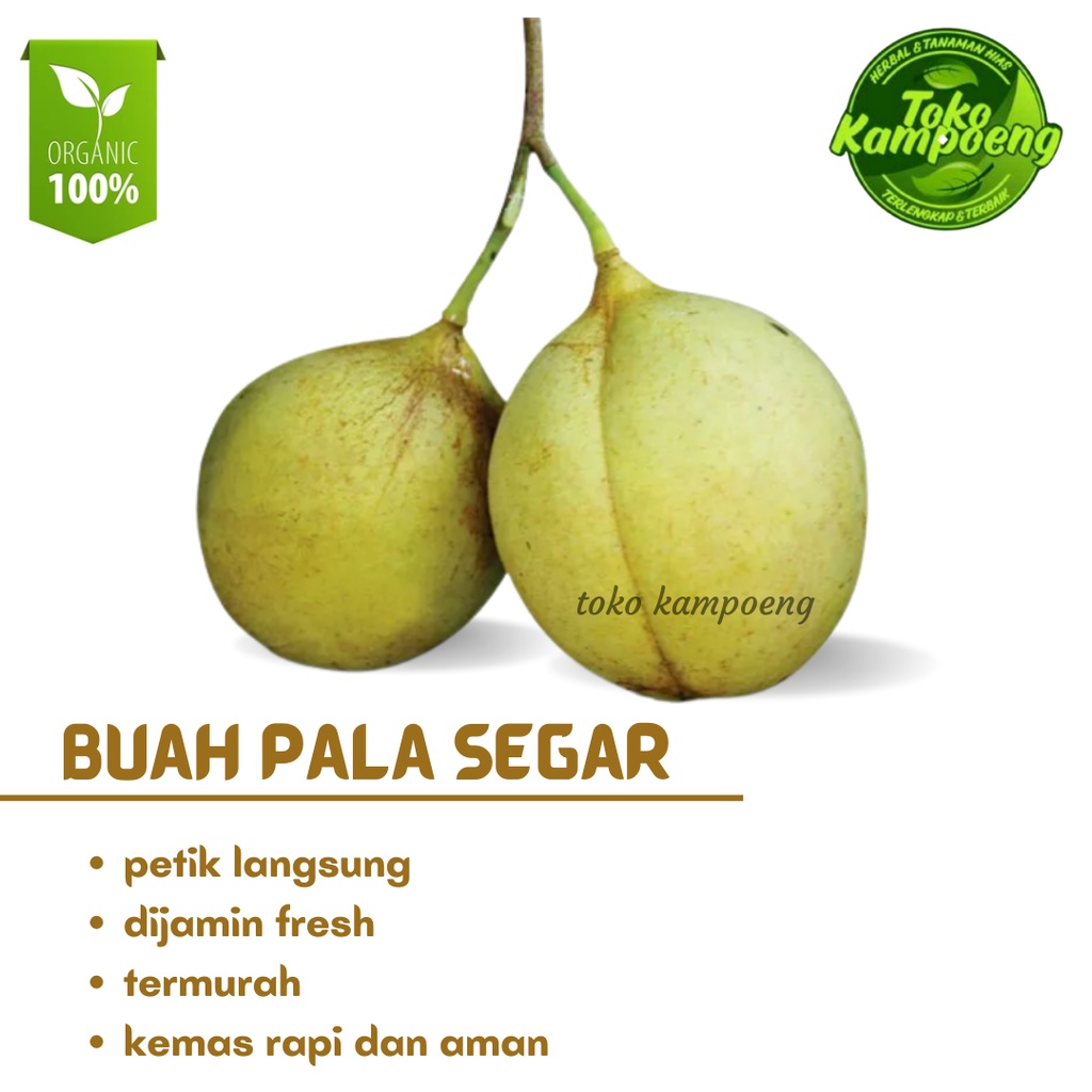 

Buah pala segar - Buah Pala utuh - Petik langsung sangat fresh