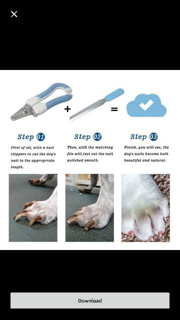 Gunting kuku anjing hewan kucing tupai kelinci. Dog cat nail scissor trimmer