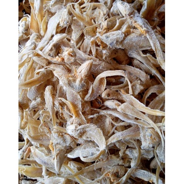 

Ikan Asin Bulu Ayam 100gr-250gr