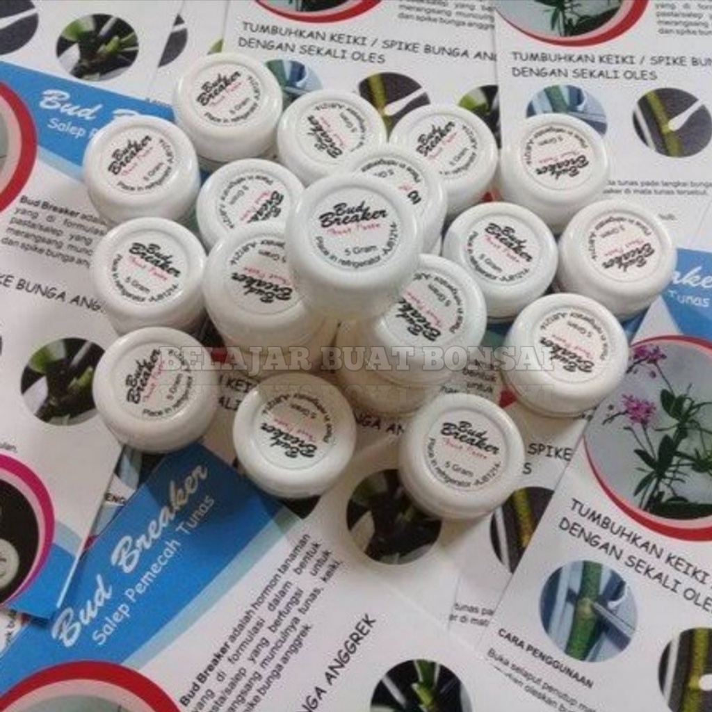 Bud Breaker 5 Gram Penumbuh Tunas Anggrek