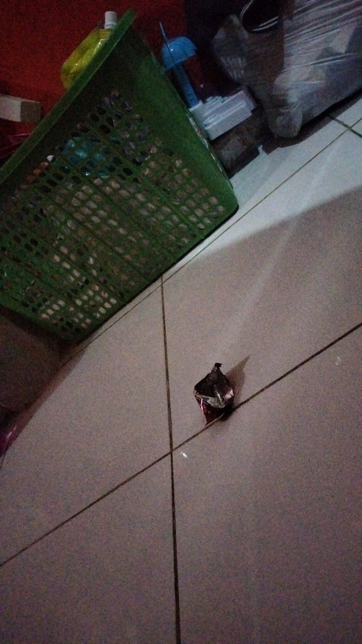 Obat / Racun Anti Semut Ampuh (mati Di Sarang)