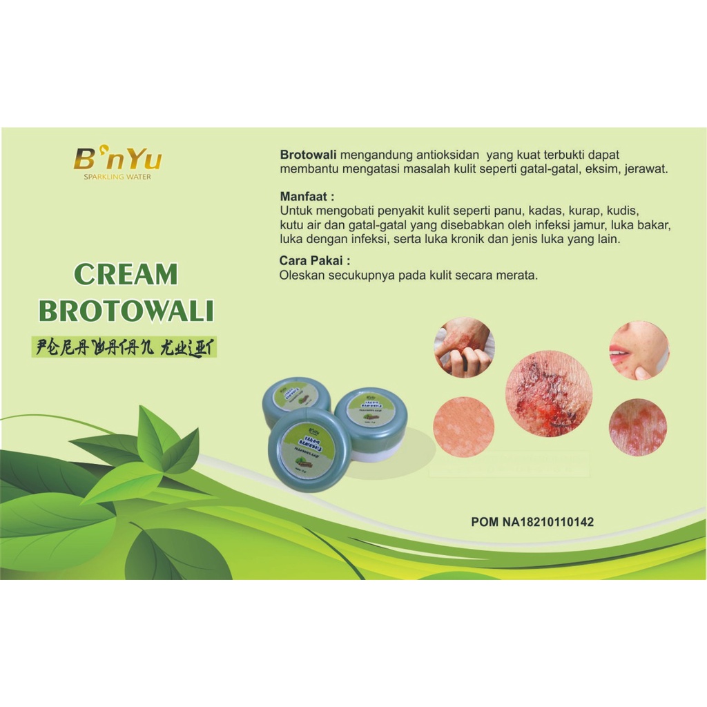 Bnyu Cream Brotowali 1Pak isi 12pcs - Mengatasi Jerawat dan Penyakit Kulit.