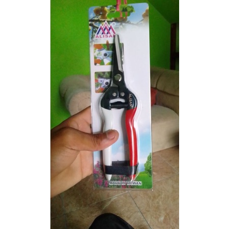 

gunting lancip merah putih
