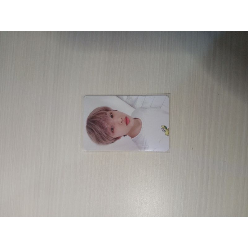photocard jisung cafe