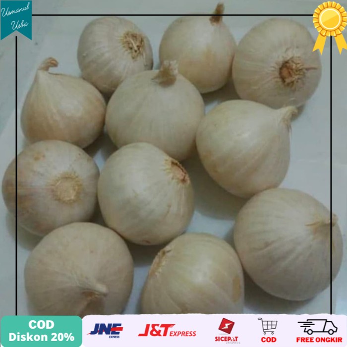 

◾COD◾ Bawang Putih Tunggal 500 gram