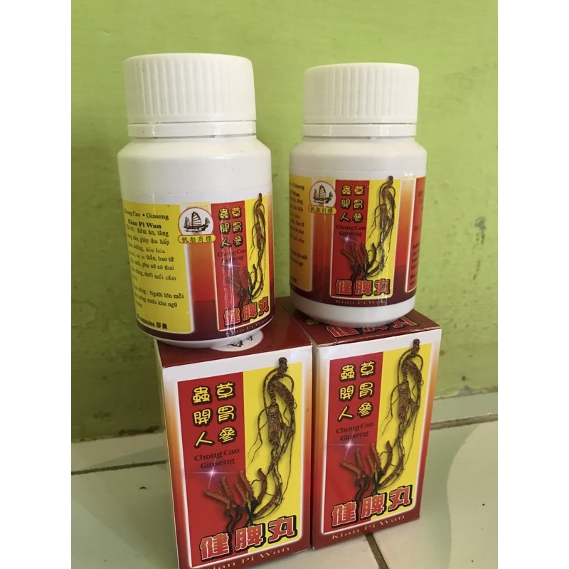 Kian Pi Wan Chong Cao Ginseng Vitamin Penggemuk Badan