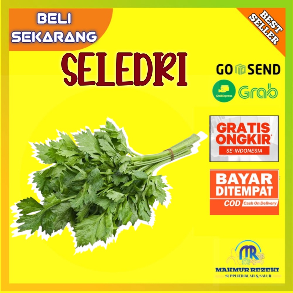 

DAUN SELEDRI SEGAR 1 IKAT 200-250 GR
