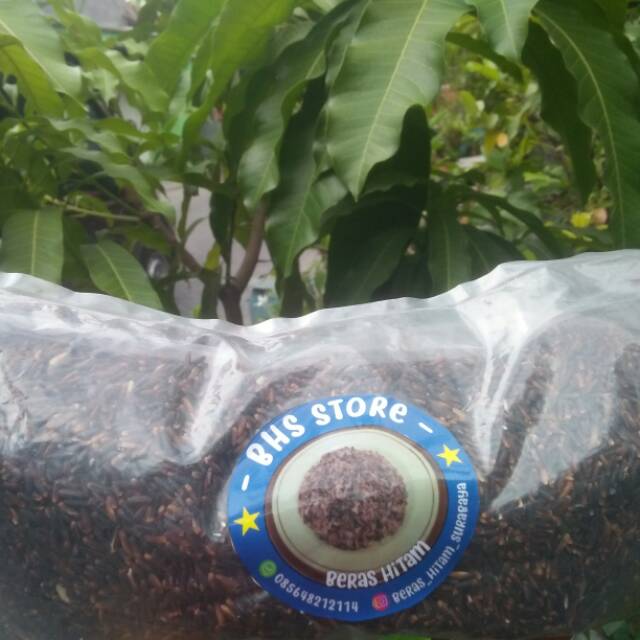 

Beras Hitam/ Beras Kesehatan / Beras organik / Beras Hitam Surabaya