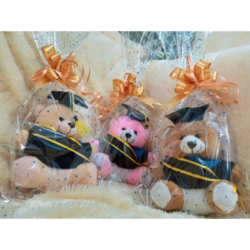 Boneka wisuda / boneka beruang minj / boneka teddy bear /  nama bisa request