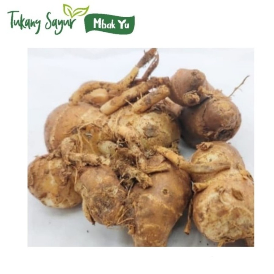

Kencur segar 1kg