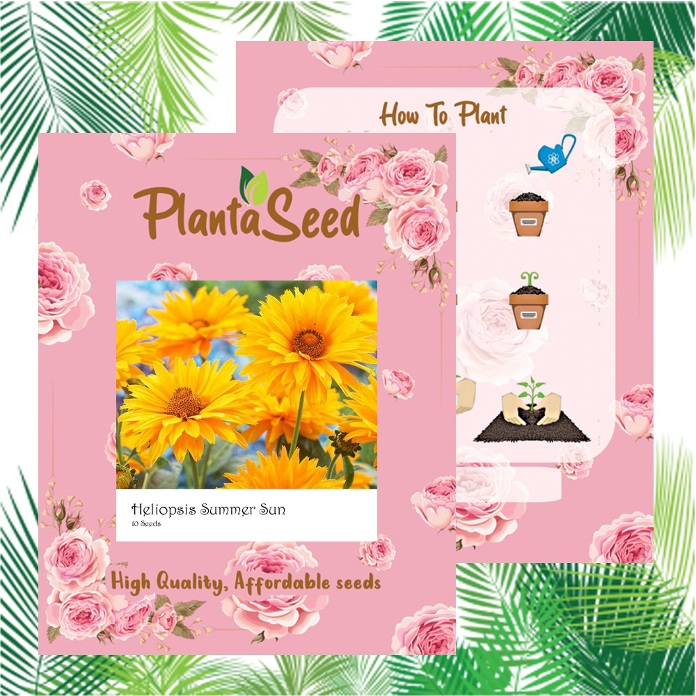 PlantaSeed - 10 Seeds - Heliopsis Summer Sun Biji Bunga - PAS0221